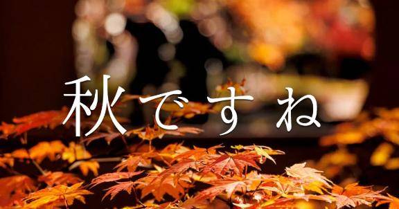 ?本日リクエスト出勤?