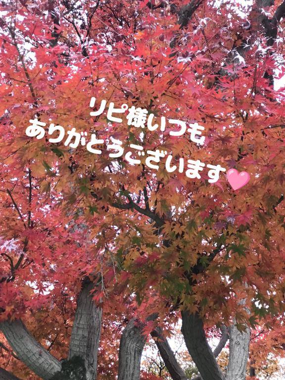 nanaのお兄様へ☆