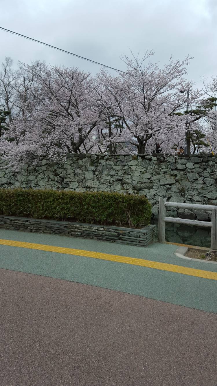 こんにちは😃