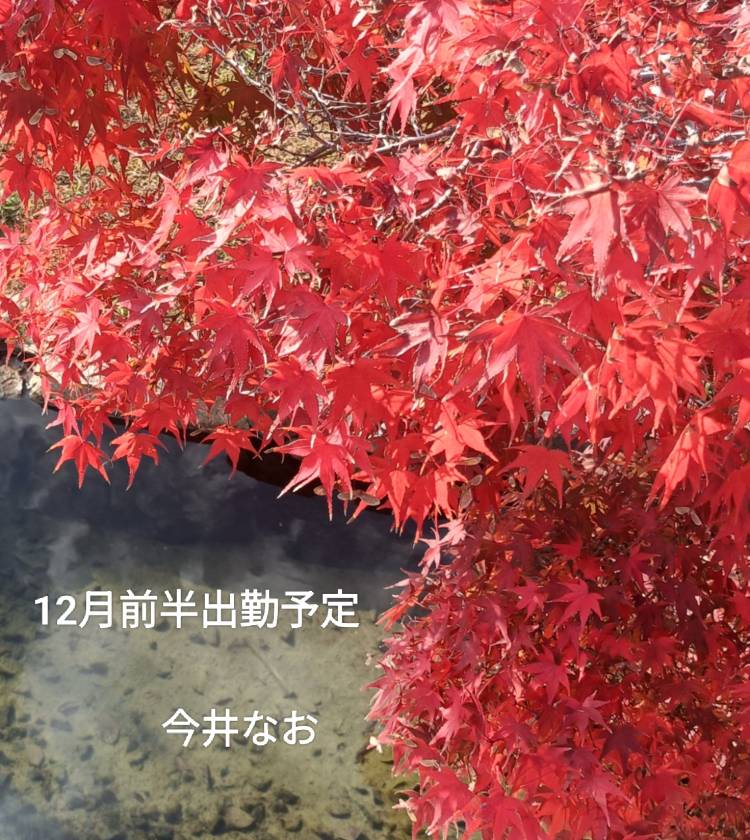 今井なおさん(Madam Story~マダムストーリー)