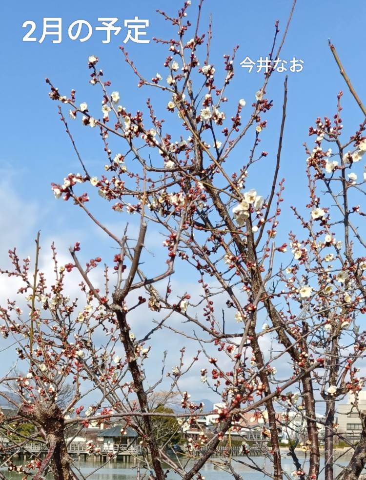 今井なおさん（Madam Story～マダムストーリー）