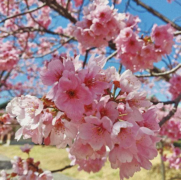 ?山水 さまへ?