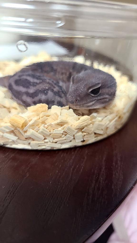 お疲れさまですー???
