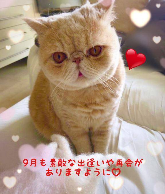 9月もよろしくお願い致します?