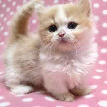 今日も1日お疲れ様です