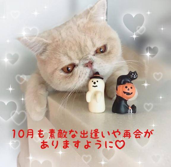 10月もよろしくお願い致します?