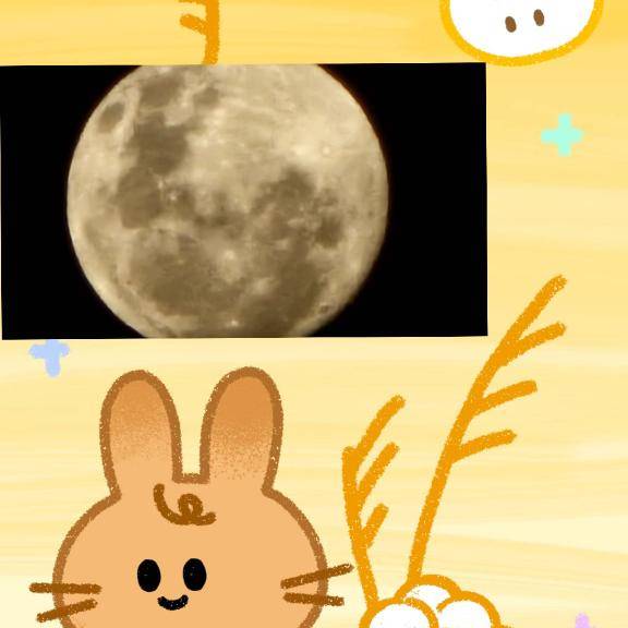 いいの撮れた♪