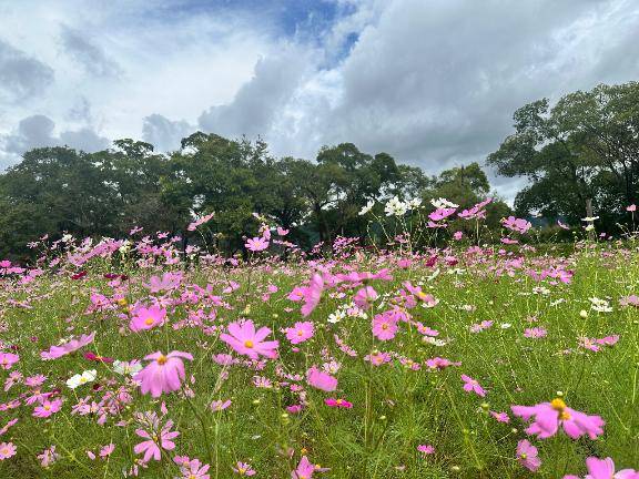 水曜日レア出勤です