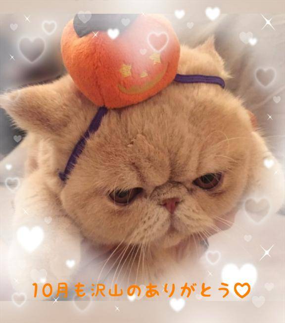 10月も沢山のありがとう?