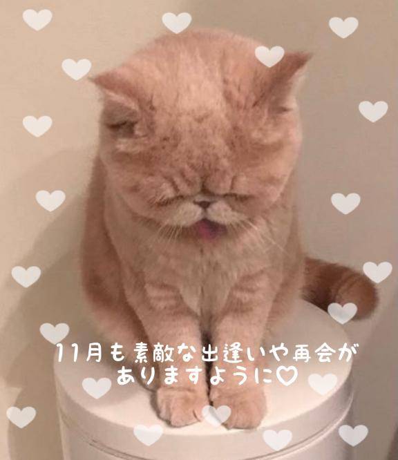 11月もよろしくお願い致します?