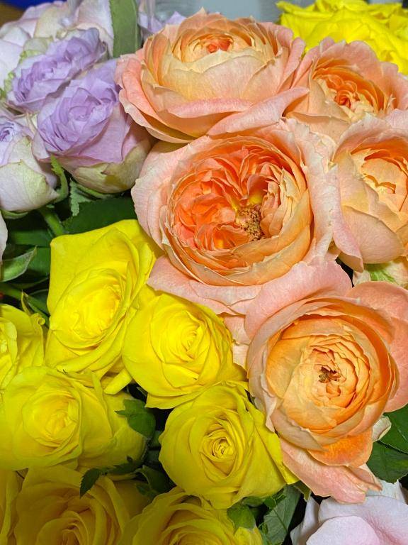 おはようございます???