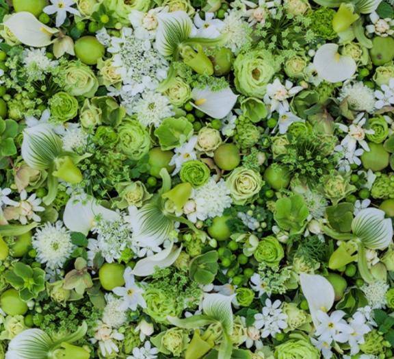 順子 [M](じゅんこ)（マダムロゼ）