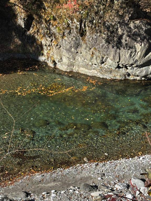 [お題]from:当たってた？さん