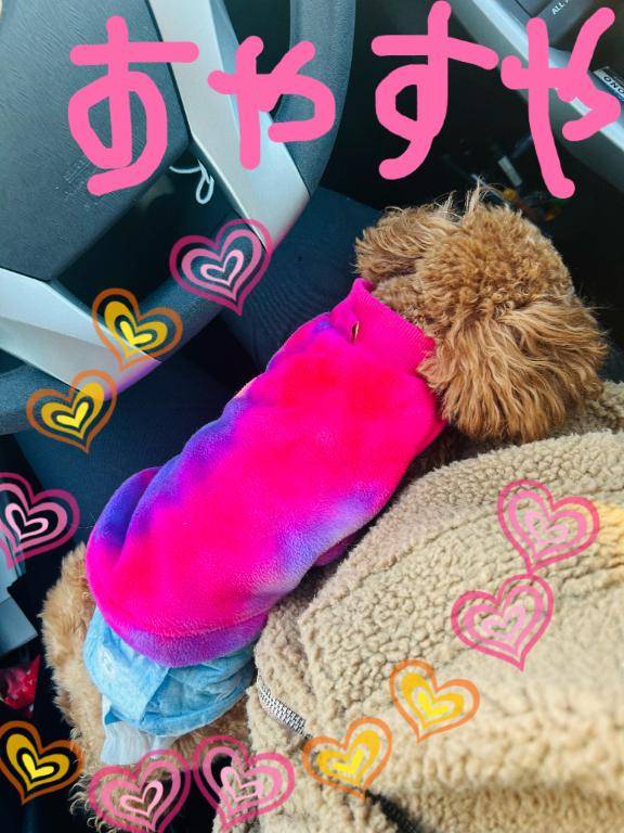 [お題]from:アポロンさん