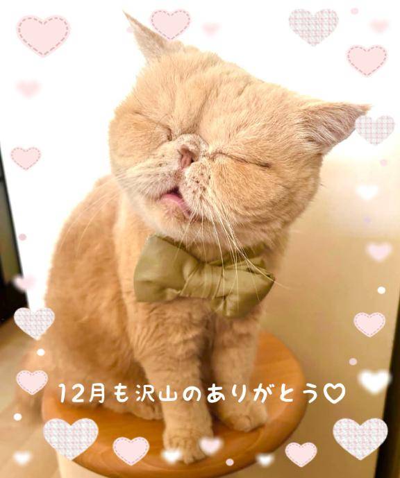 12月も沢山のありがとう?