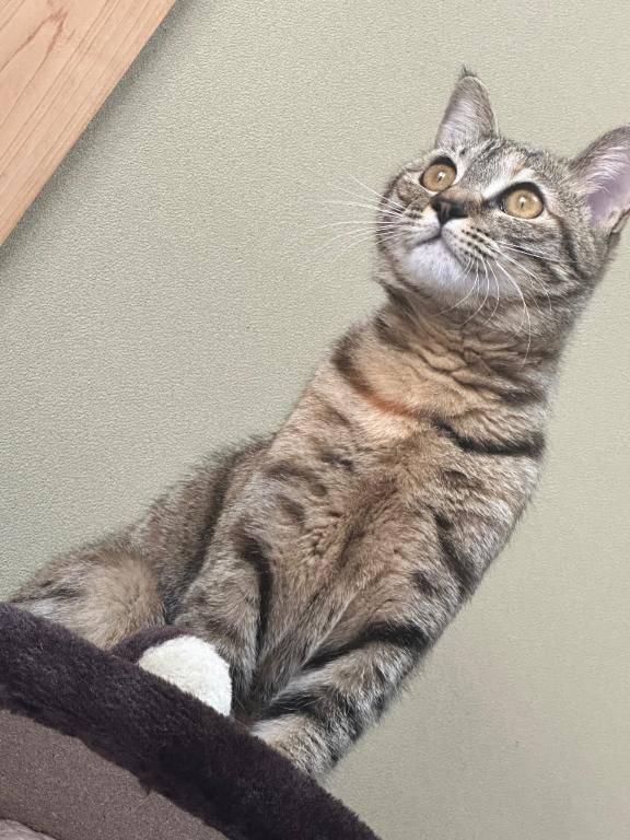 [お題]from:ほかに何が？さん