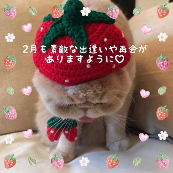 2月もよろしくお願い致します?