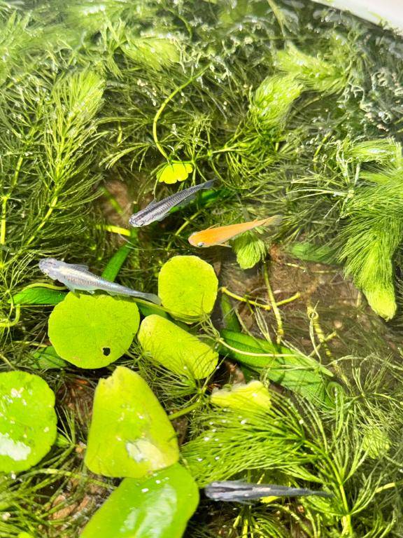 是非、お楽しみに?