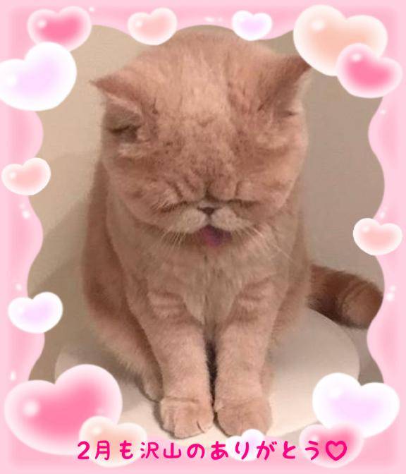 2月も沢山のありがとう?