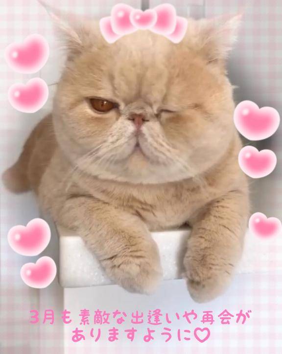 3月もよろしくお願い致します?