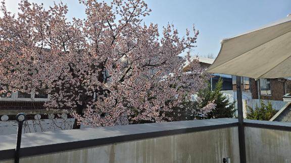 お久しぶりです