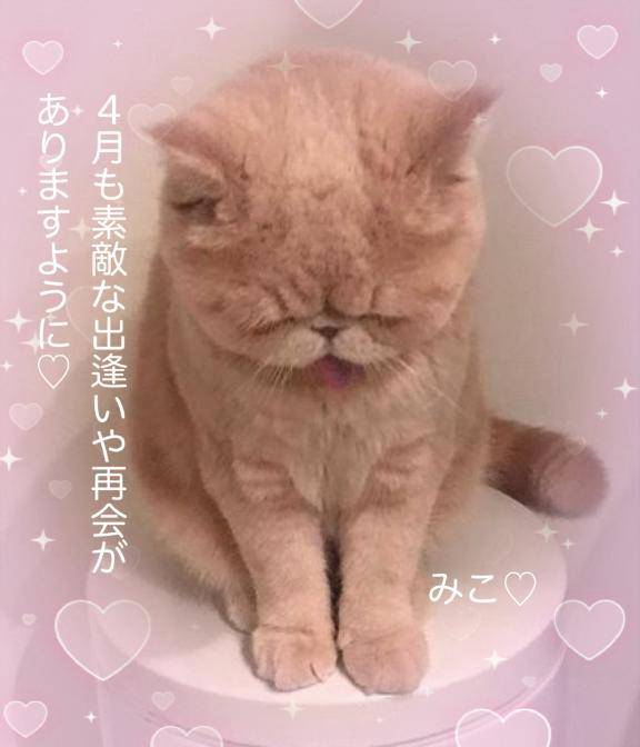 4月もよろしくお願い致します?