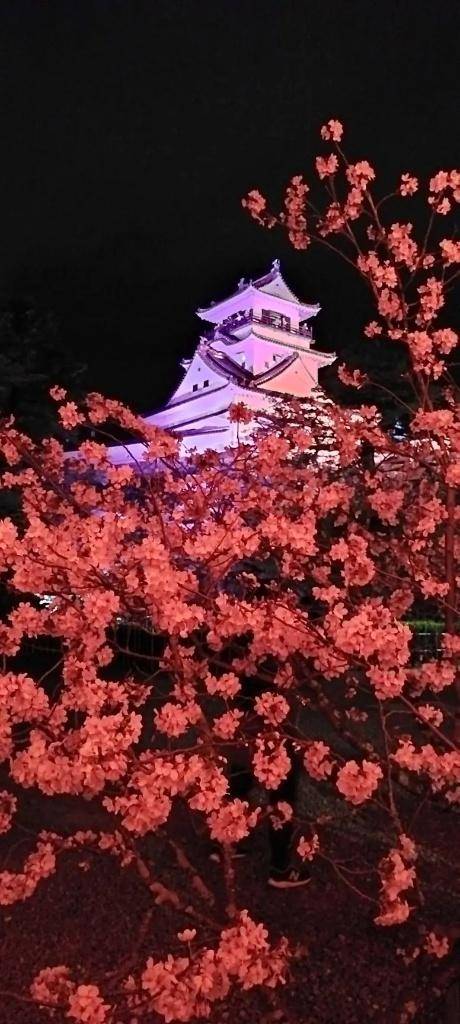 夕方から?
