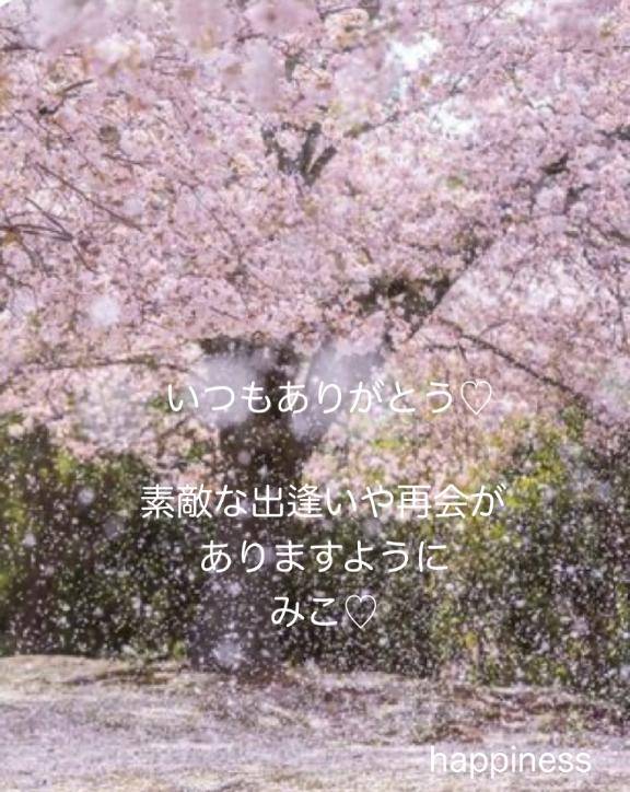 さくらひらひら