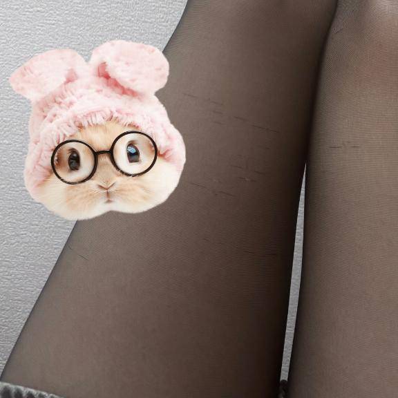 おだいにこたえる
