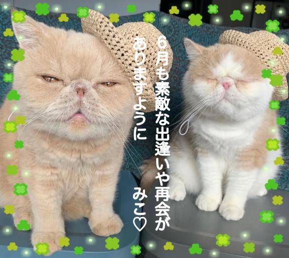 6月もよろしくお願い致します?