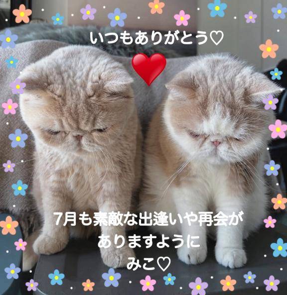 7月もよろしくお願い致します?