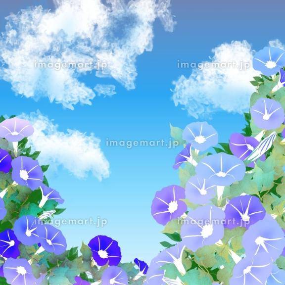 ありがとうございます