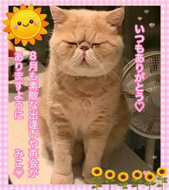 ８月もよろしくお願い致します?