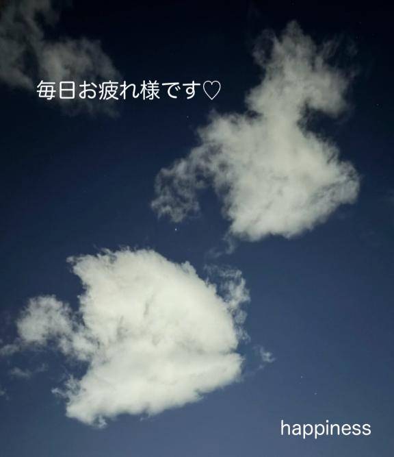 夜の水族館?