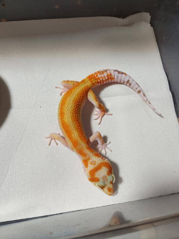お疲れさまです～?