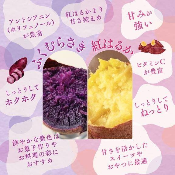 [お題]from:ゆゆこさん