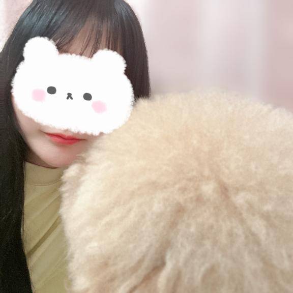 【本日最終日】