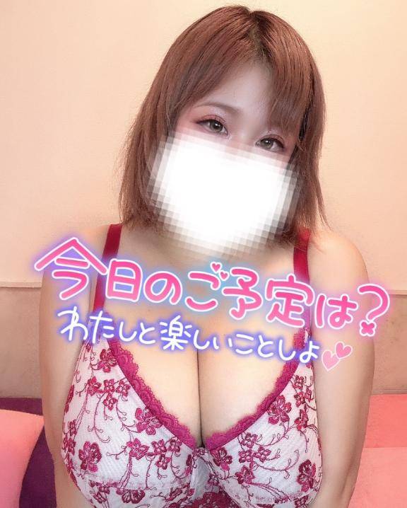 今日の予定は？