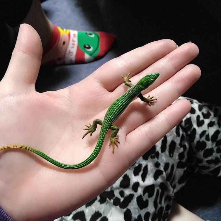 怪獣