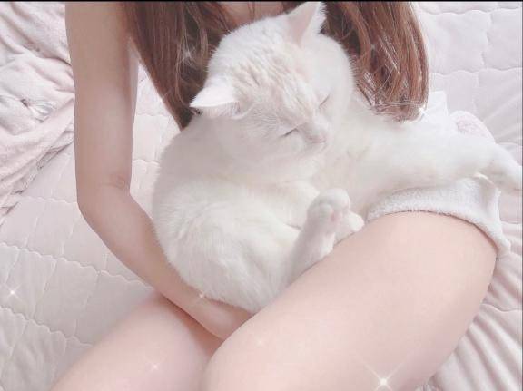 《 明日から 》