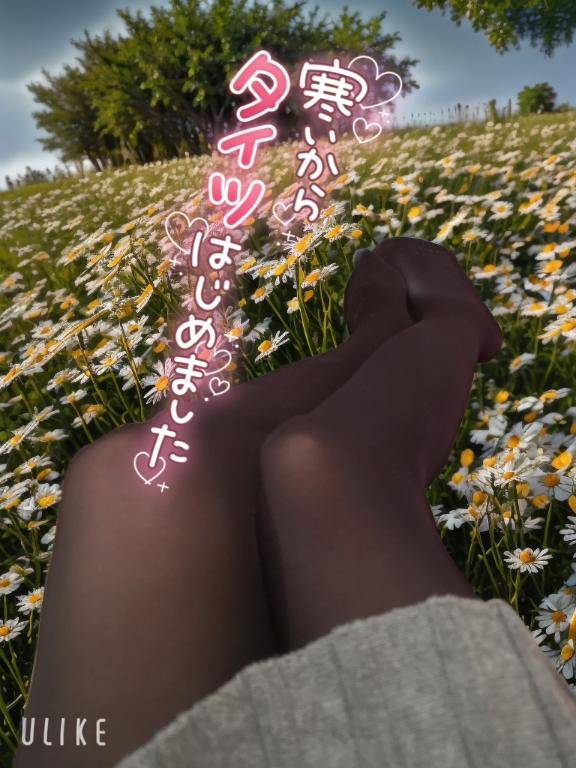 これを出すべきだったね笑