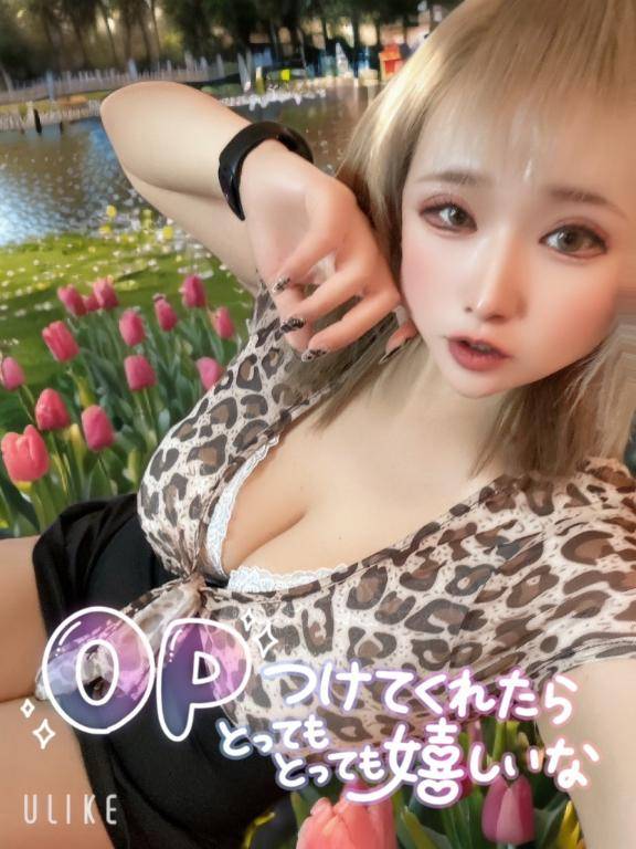 好きなオプション