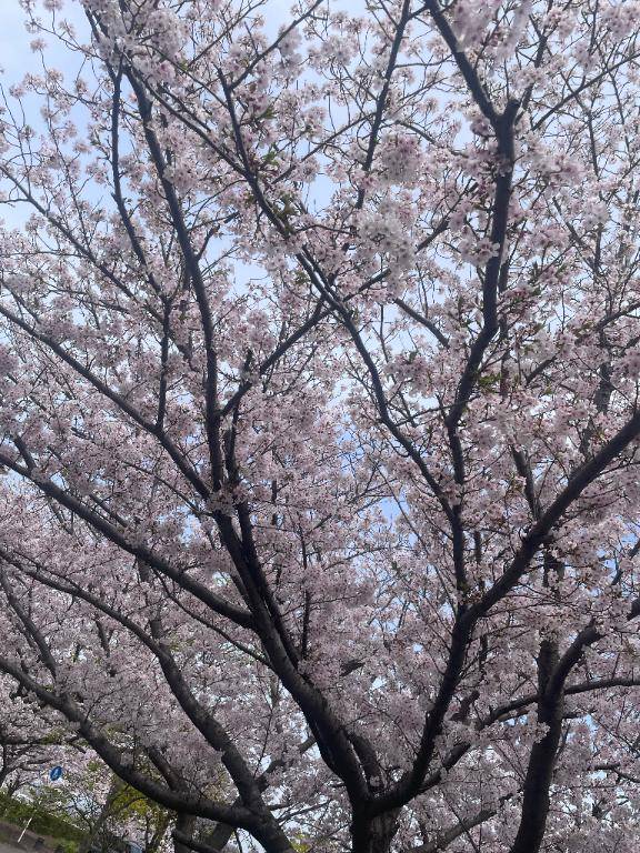 おはよう~?? ' ?' ??