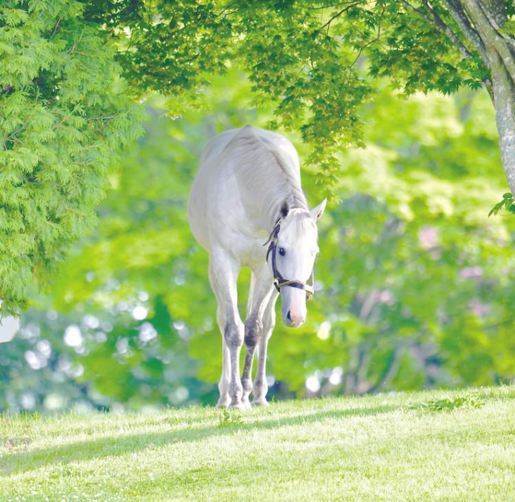 とうとう、行くよ！