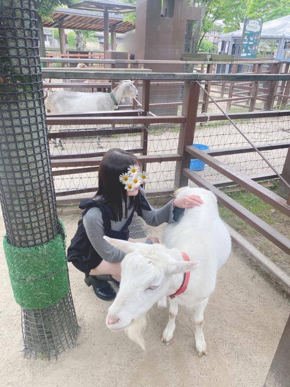 明日からです????