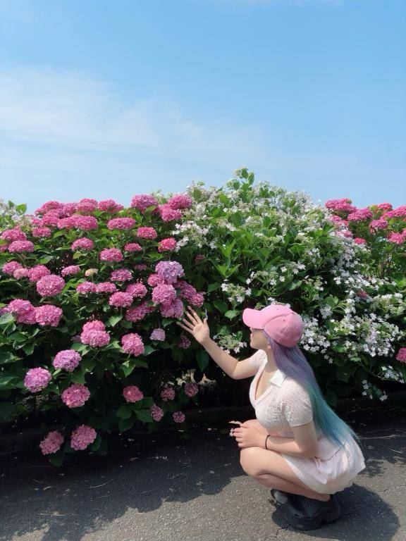 どっちも楽しみたいなら?