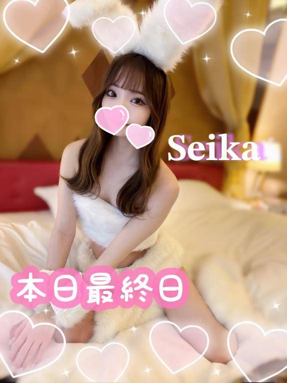 ✨🩵本日最終日🩵✨