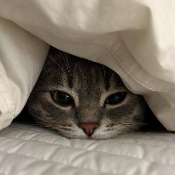 後少し?