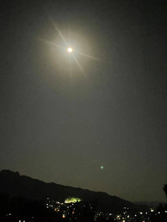 しおん【PREMIUM】（ミラクル愛。。）