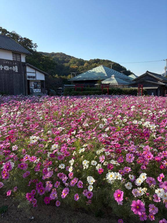 完オフ楽しんで出勤??